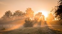Sonnenaufgang 2