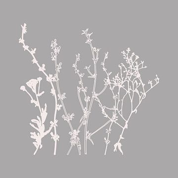 Moderne Botanische Kunst. Bloemen, planten, kruiden en grassen in grijs en wit nr. 3 van Dina Dankers