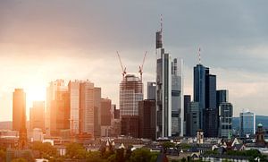 Skyline Frankfurt van davis davis