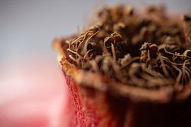 Pomme granade by Catch Chris