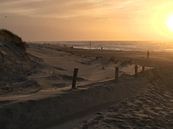 Going to the beach by Corinna Vollertsen thumbnail