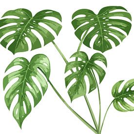 Monstera im Raum der Stille von AidasignArt