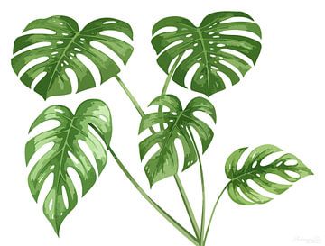 Monstera in the room of silence