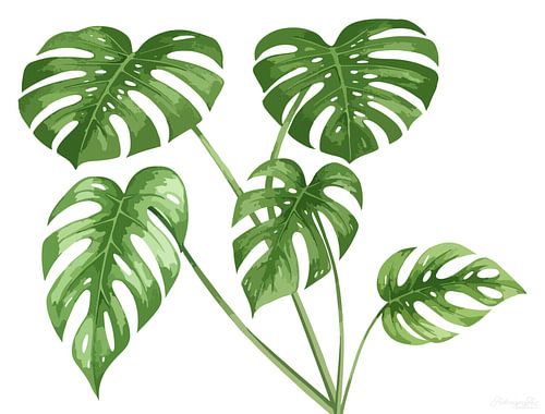 Monstera in de stilteruimte