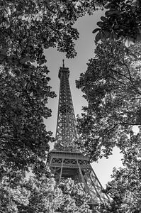 Entre le ciel et la Seine