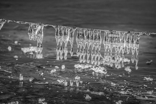 Abstract Ice forms on barbed wire