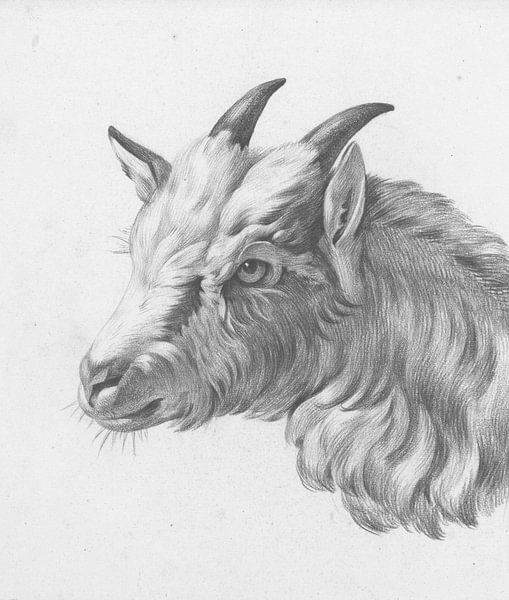 Head of a goat, to the left by Jean Bernard, 1775 - 1833 by Gave Meesters