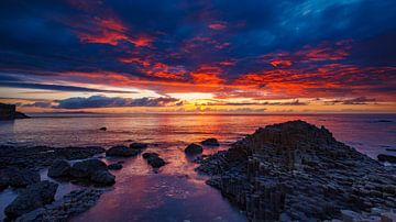 Gaint's Causeway in Ierland van Roland Brack