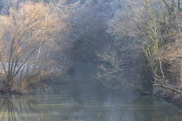 Bomen over de rivier de Célé van Liesbet den Daas