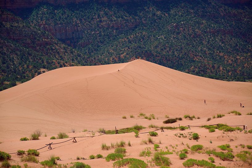 People climbing the dunes by Frank's Awesome Travels