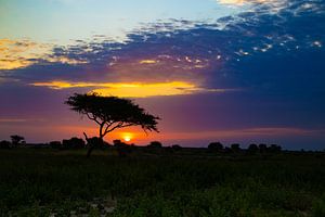 Sonnenuntergang im subsaharischen Tschad