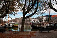 Herfst in Dordrecht van Thomas Poots thumbnail