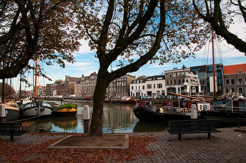 Herfst in Dordrecht van Thomas Poots