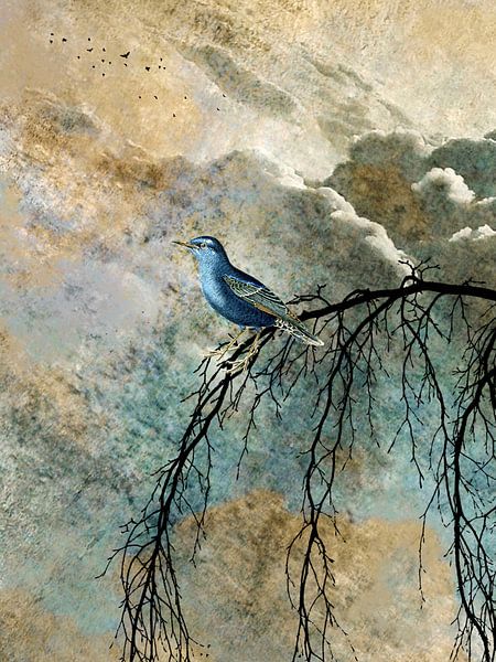 HEAVENLY BIRD IId2 - Portrait par Pia Schneider