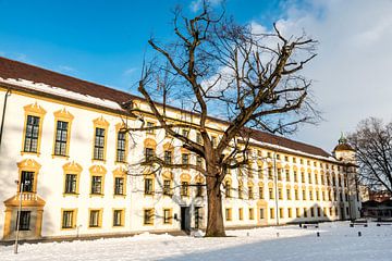 Residentie Kempten in de Allgäu in de winter met kale boom van Dieter Walther
