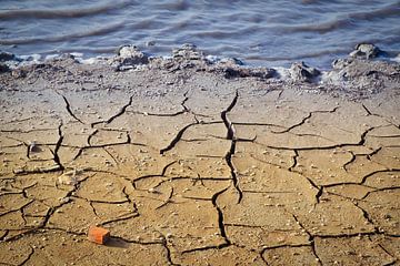 Dürre aufgrund von Wasserknappheit von Ineke Huizing