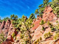 Ockerland Majestätischer Klippenwald