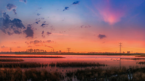 Silent winter dew over the Biesbosch and Amer power station