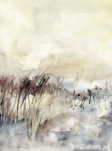 Grasses and sky by Claudia Gründler
