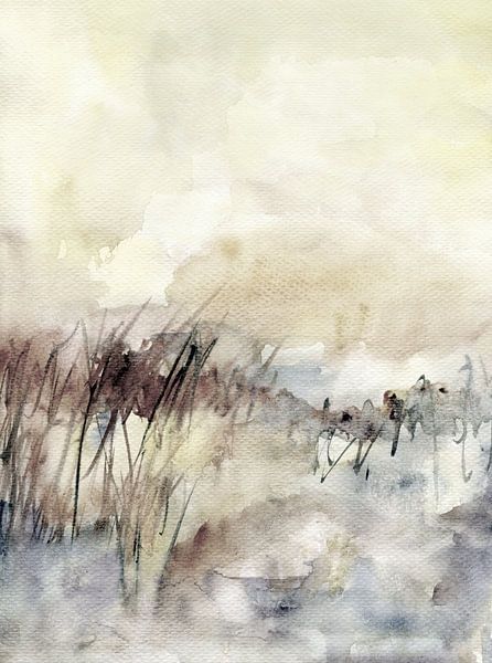 Grasses and sky by Claudia Gründler