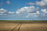 Graanvelden in Groningen van Bo Scheeringa Photography thumbnail