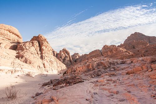 Sinaï Woestijn Egypte