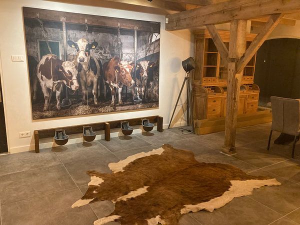 Kundenfoto: Kühe im alten Kuhstall von Inge Jansen, als ArtFrame