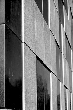 Gevel van betonplaten in zwart en wit