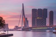 Colorful morning in Rotterdam van Ilya Korzelius thumbnail