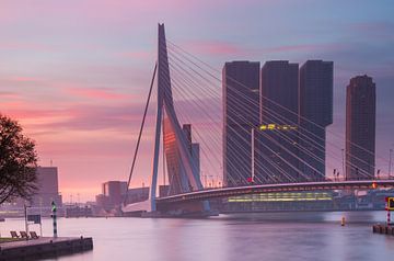 Colorful morning in Rotterdam