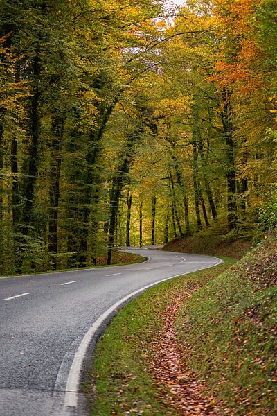 een weg in herfst kleuren. Luxemburg 2021 van Robinotof