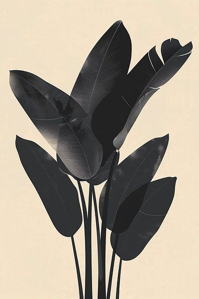 Black banana leaves by haroulita