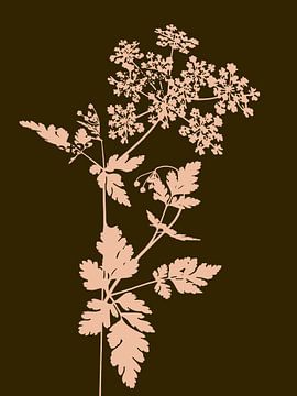 Groen Gipskruid | Illustratie | Plant van Jansje Kamphuis