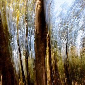Sie sehen den Wald vor lauter Bäumen nicht. von Jakob Huizen van
