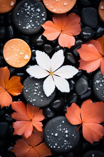 Witte bloem op zwarte schoonheid