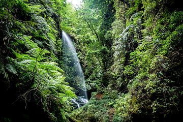 Waterval op La Palma van Eva Fontijn