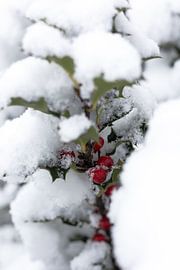 Winterwunder von Klein geluk