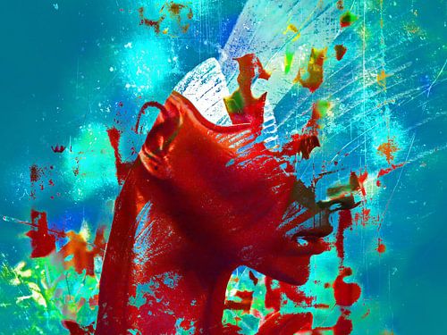 Rood hoofd in explosie