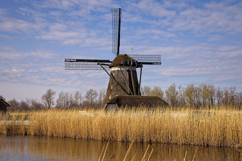 Windmill Rottemeren by Rob Boon