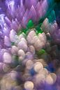 Kleur Explosie #4 by Robert Wiggers thumbnail