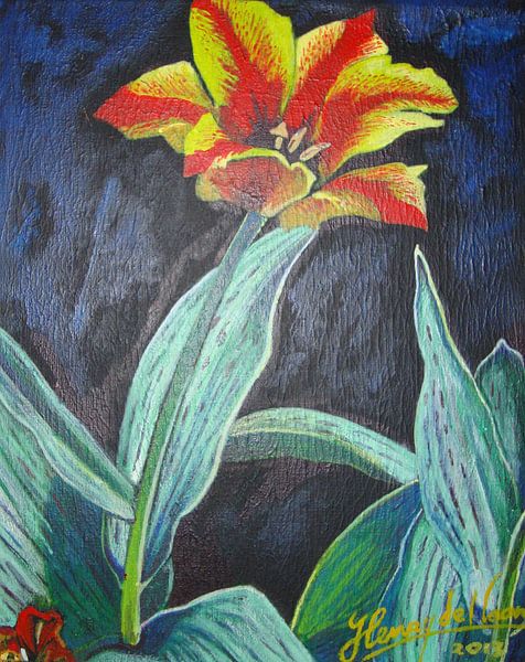 Rood-gele tulp by henry de haan