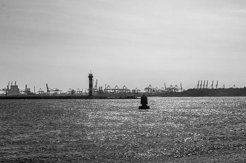 Split Nieuwe Waterweg