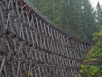 Historische spoorbrug in de wildernis van Timon Schneider