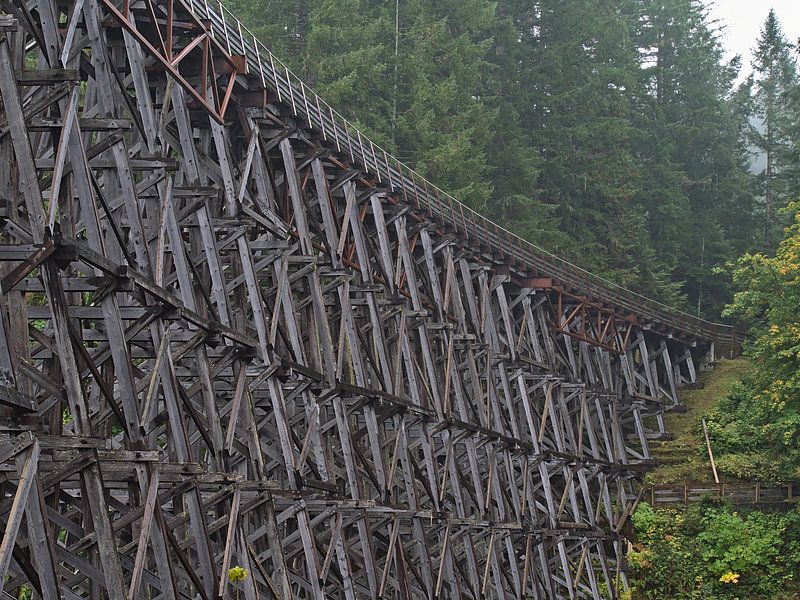 Historic railway bridge in the wilderness by Timon Schneider