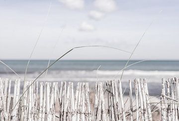 Ein verträumter Blick auf das Meer im Boho-Stil von Alex Winter