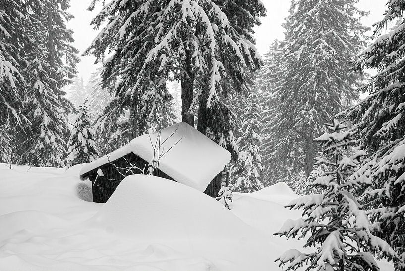 Verborgen hut in de sneeuw in de franse Alpen van Jan Fritz