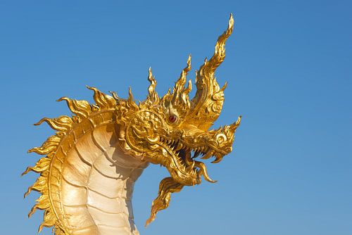 Gouden kracht in het berglicht