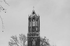 Utrecht's snow-covered Dom tower from Moreelsepark. (landscape, black and white)