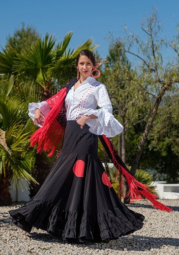 flamenco