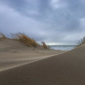 Tussen 2 duinen van Annemarie Veldman